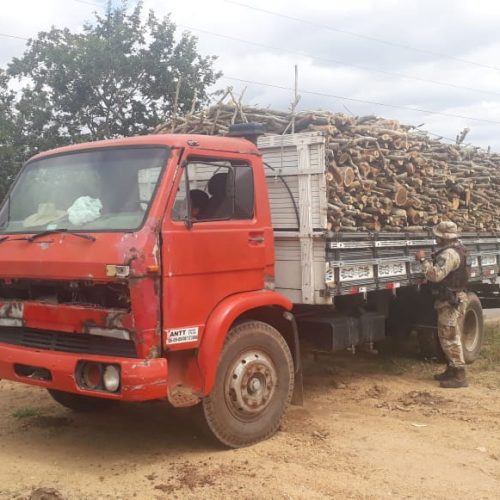 Madeira extraída ilegalmente é apreendida pela CIPE Nordeste em Nova Fátima