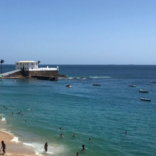 Tubarão no Porto da Barra? Banhistas são retirados após PM ver animal