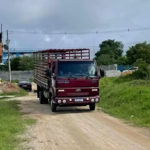 Animais na pista: Prefeituras de Serrinha e Barrocas realizam ação conjunta para evitar acidentes na BA-411