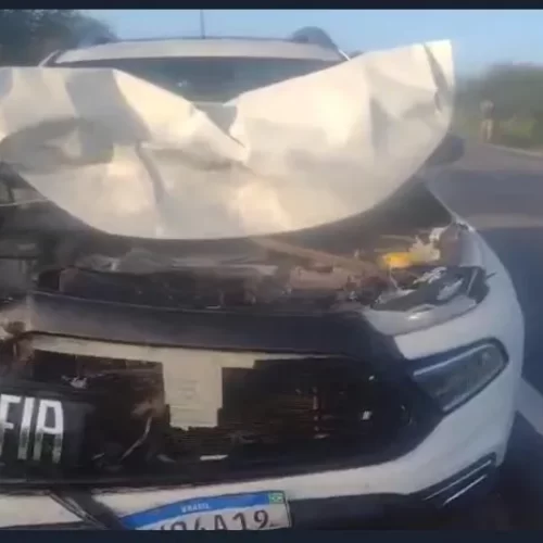 Toro fica parcialmente destruído após atropelar cavalo; animal morreu na hora