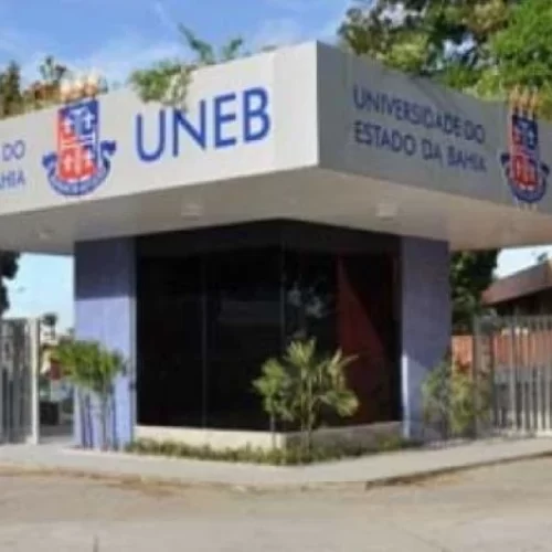 Uneb oferece 2.296 vagas em cursos de graduação a distância; inscrições vão até quinta-feira (3)