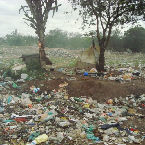 Blog Mobilizadores Sociais 