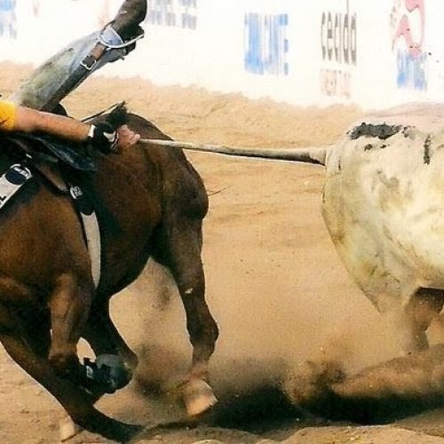 Em 1° turno Câmara aprova PEC que regulamenta vaquejadas