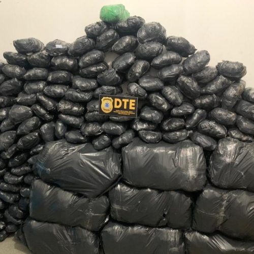 Policiais civis apreendem cerca de 300 kg de maconha em Feira de Santana