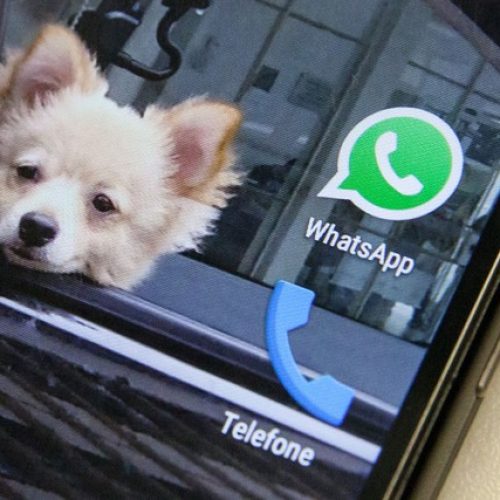 Usuários relatam problemas para acessar WhatsApp